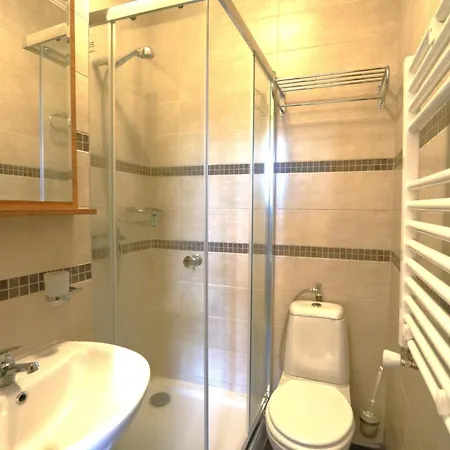 Am Fluss Saale 酒店 3*